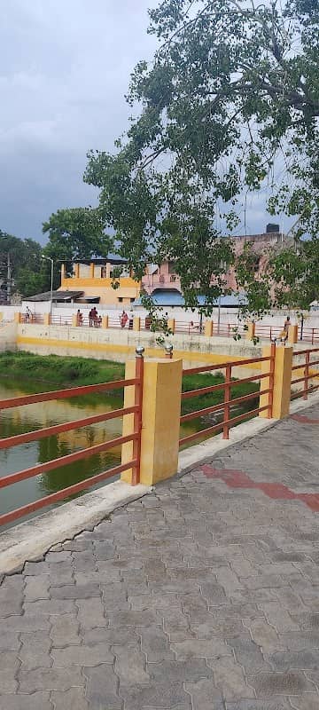 Pachayappan Kulam - Image 1