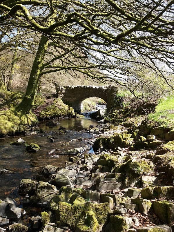 Robber's Bridge - Image 1