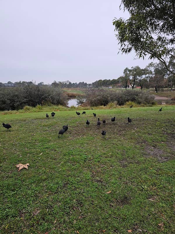 Wetlands - Image 2