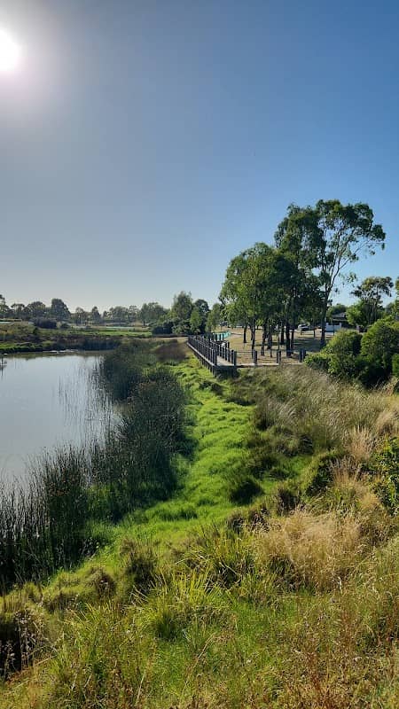 Wetlands - Image 1
