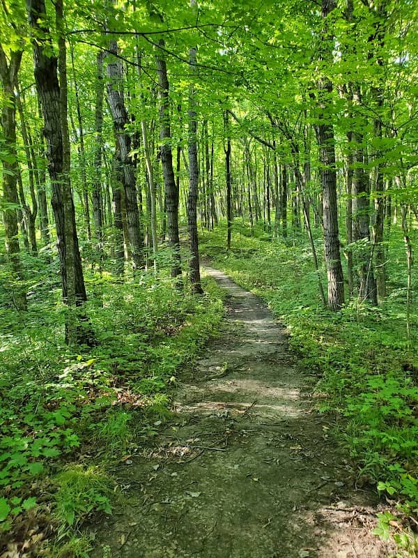 Ice Age Trail - West Bend Segment - Image 2
