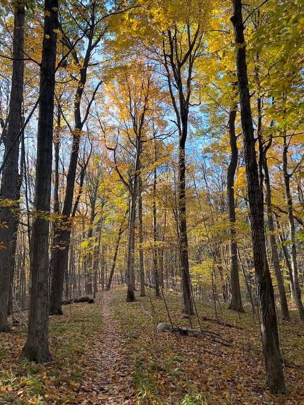 Ice Age Trail - West Bend Segment - Image 3