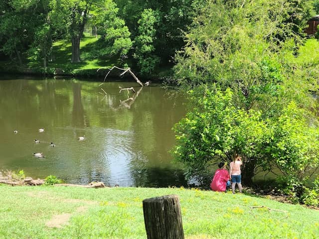 East Kings Highway Park - Image 1