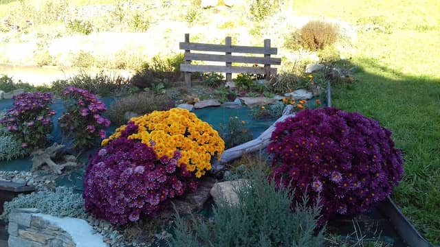 Giardino Naturale - Image 2