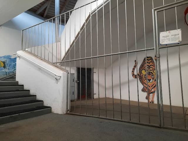 La tigre di San Candido - Image 2