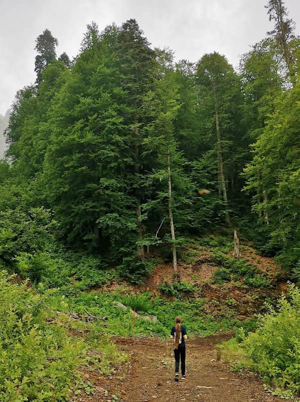 Aibginskiy Rodnik - Image 2