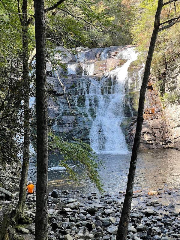 Laurel Fork Falls - Image 2