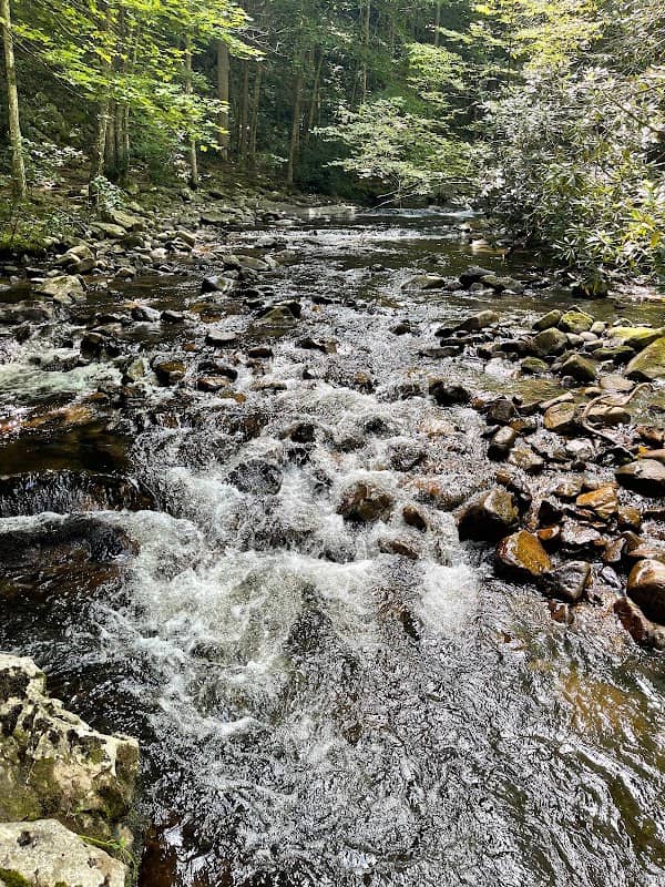 Laurel Fork Falls - Image 3