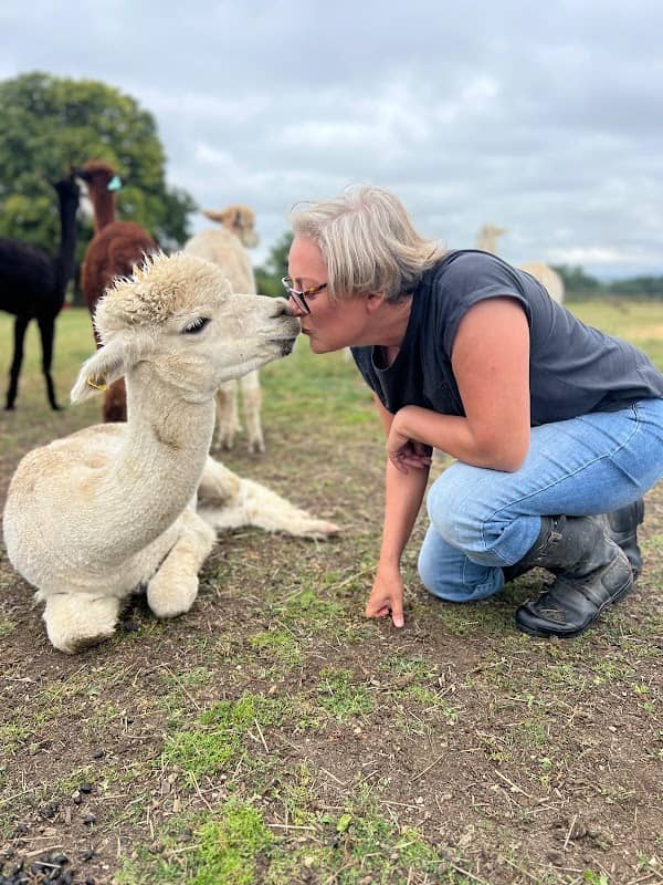 Somerset Alpaca Trekking - Image 1