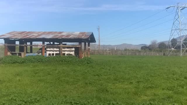 Sheridan Park - Image 1