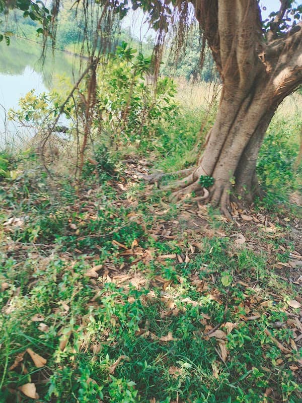 Lake View Point - Image 1