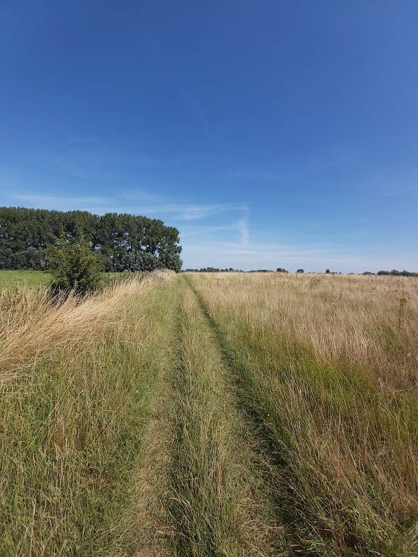 Eendenpoelse Buitenpolder - Image 3