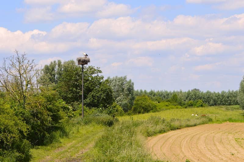Eendenpoelse Buitenpolder - Image 2