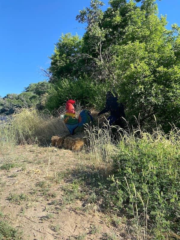 The Rooster - Image 3