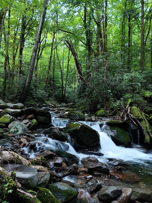 Cosby Nature Trail - Image 1