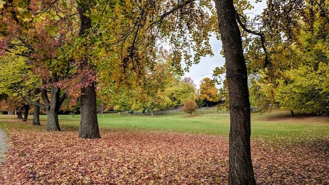 Gil Lumb Park - Image 1