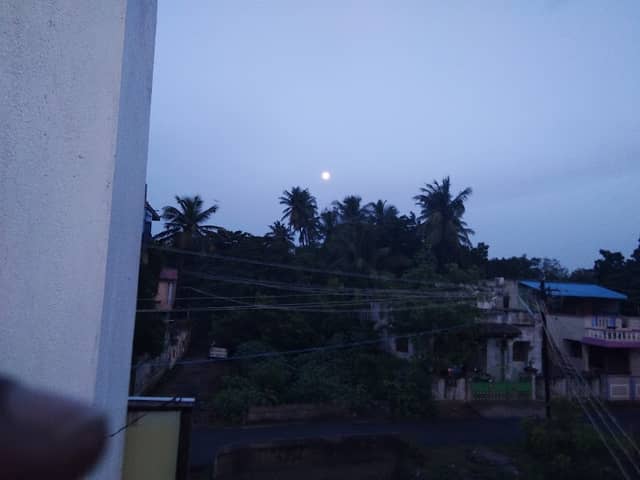 Thalatheru - Periya Kulam - Image 1
