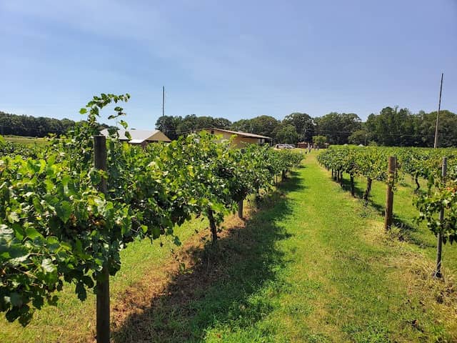 Fox Vineyards & Winery - Image 1