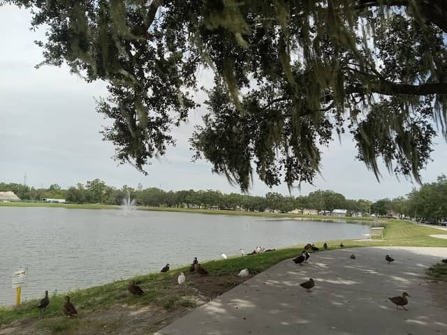 Dr. Hal & Lynn Brewer Park - Image 1
