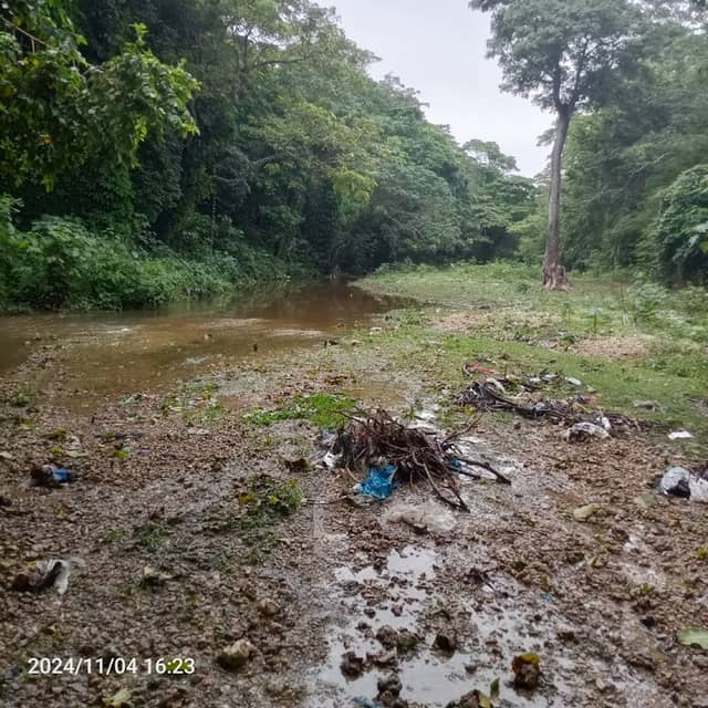 El caño - Image 1