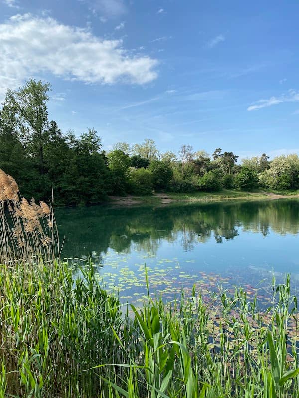 Viewpoint Viernheim Waldsee - Image 1