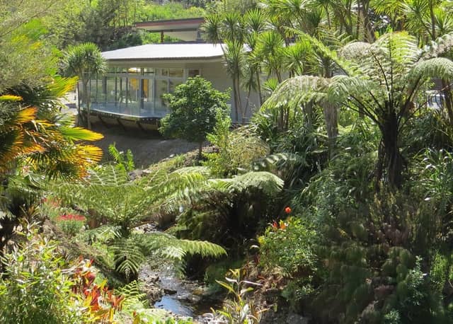 Whangarei Quarry Gardens - Image 1