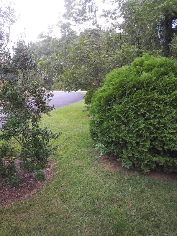 Native Plant Trail - Image 2