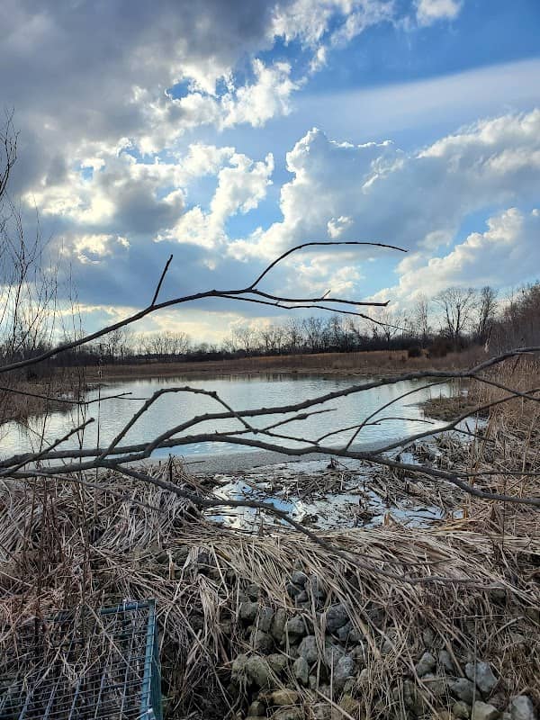Glass Farm Conservation Area - Image 1