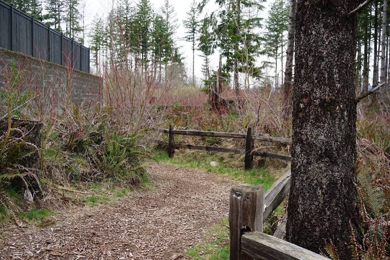 Ten Trails - Image 1