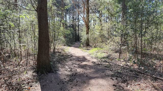 Zandstuve - Image 1