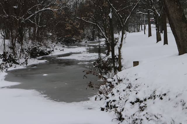 Ritter Park Shelter - Image 1