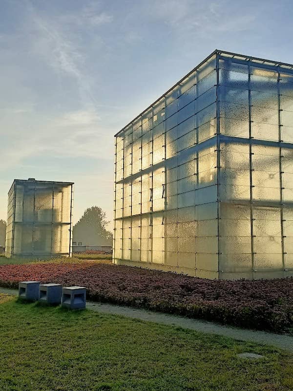 Silesian Museum - Image 2