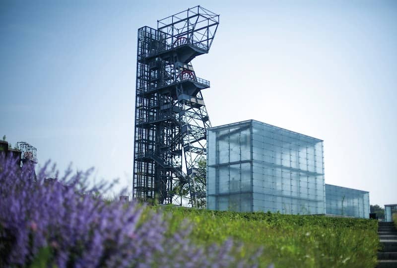 Silesian Museum - Image 3