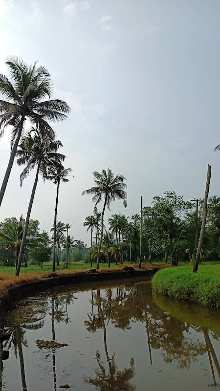 Chepungal field viewpoint - Image 1