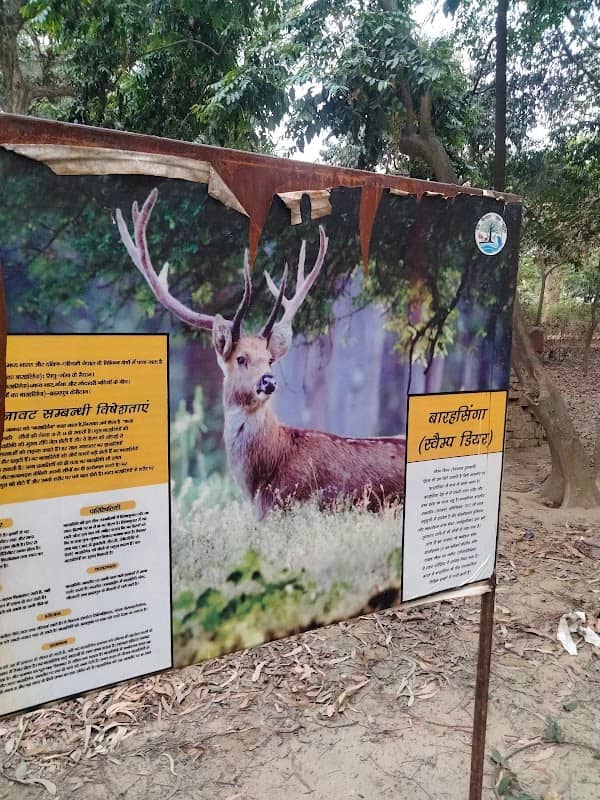 Hastinapur forest - Image 1