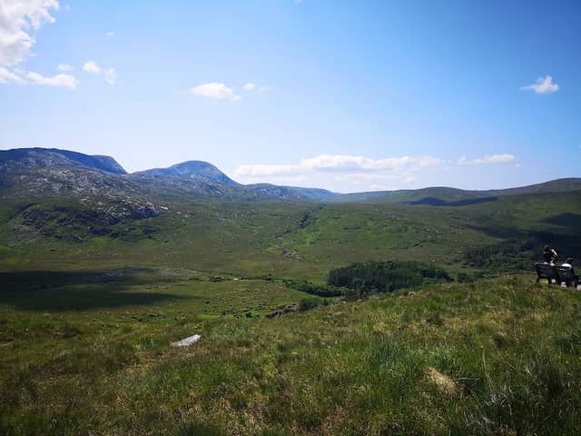 Dunlewey Valley and Mount Errigal Viewpoint - Image 1