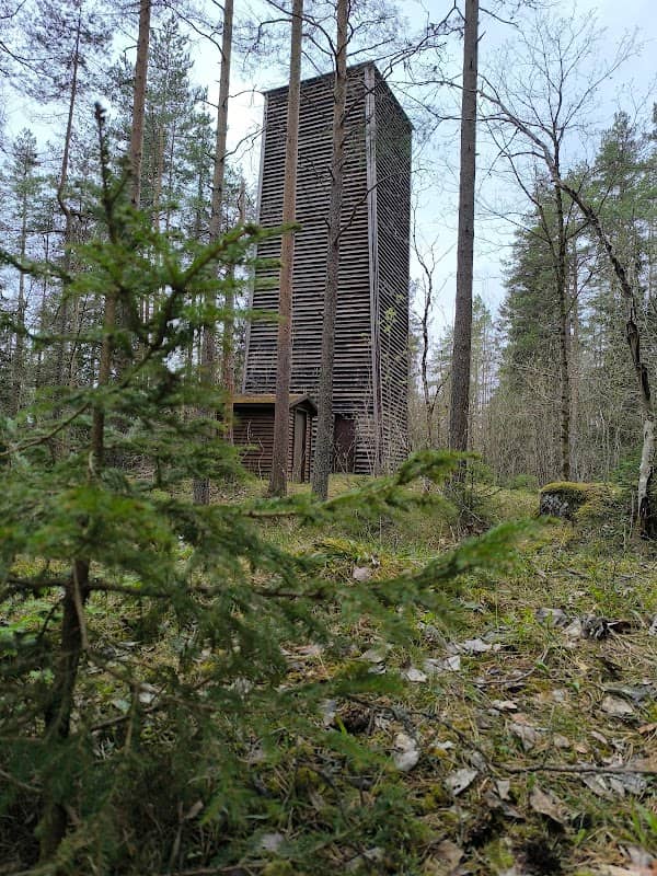 Luftesjakt i Bragernesåsen - Image 1