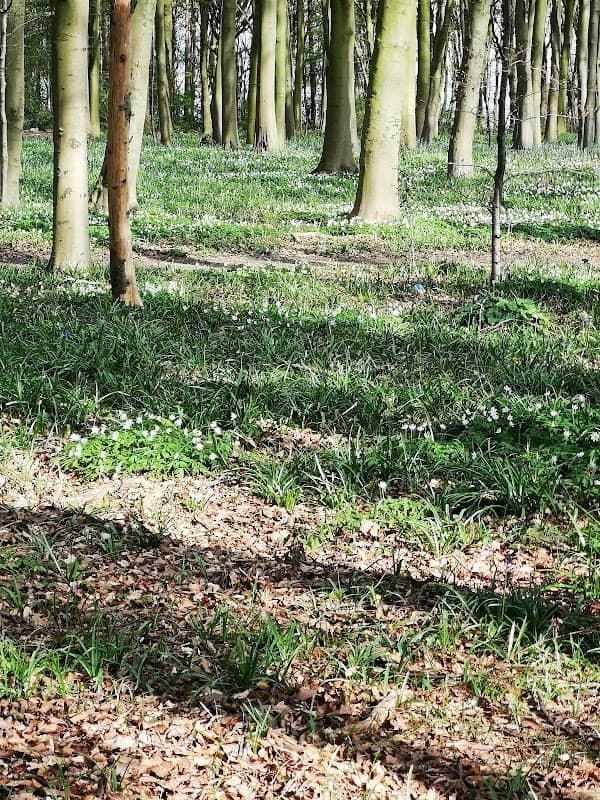 Fairlands Valley Park - Image 3
