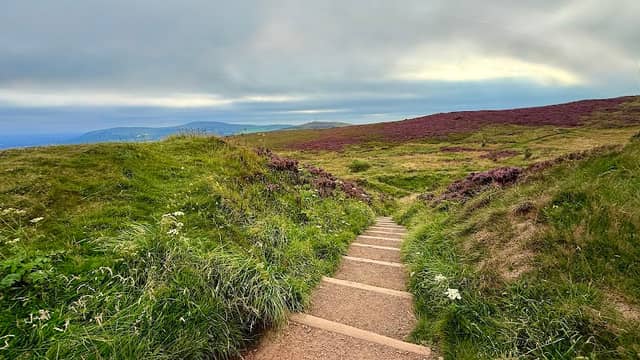 Cave Hill Country Park - Image 3