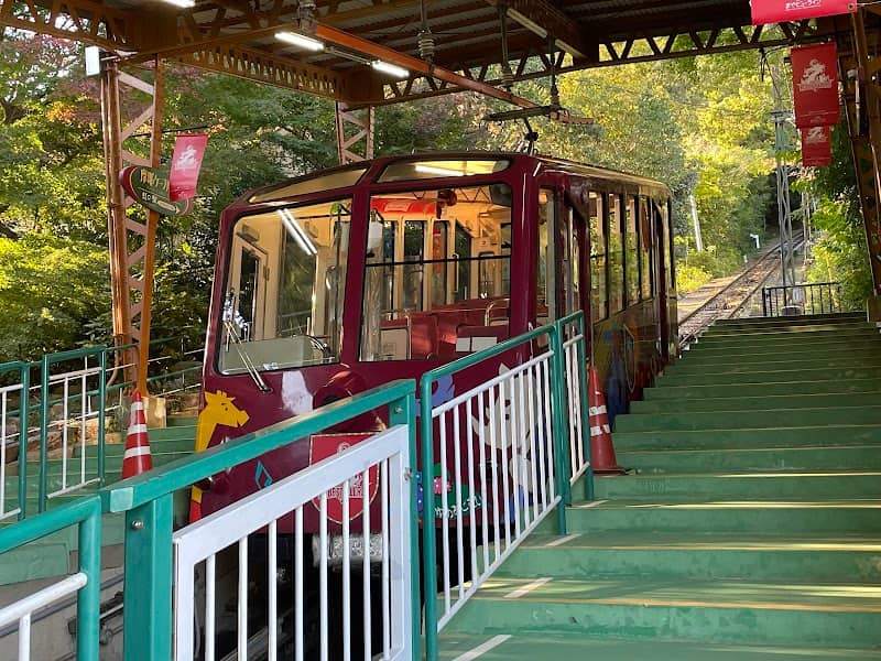 Maya Ropeway - Image 3