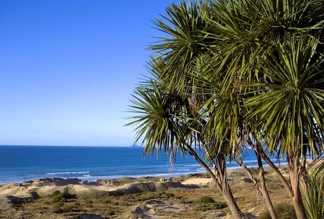 Cape Sanctuary - By Booking Only - Image 1