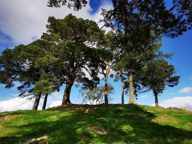 Outlander film location (Craigh na Dun) - Image 2