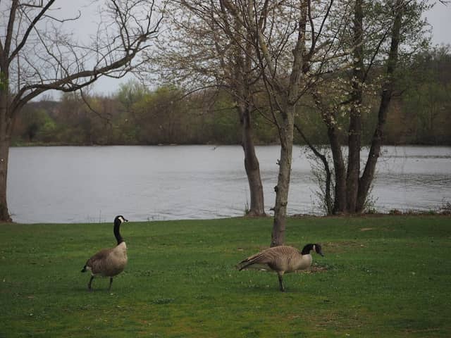 Gallup Park Canoe Fan Sculpture - Image 2