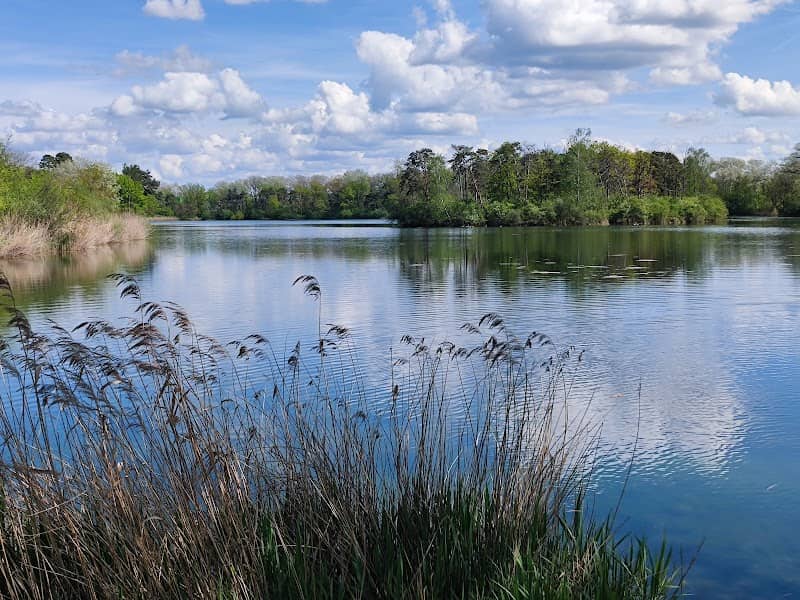 Aussichtspunkt Auwaldsee - Image 1