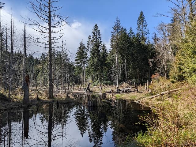Linley Valley Cottle Lake Park - Image 3