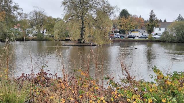 Pirbright Duck Pond - Image 2