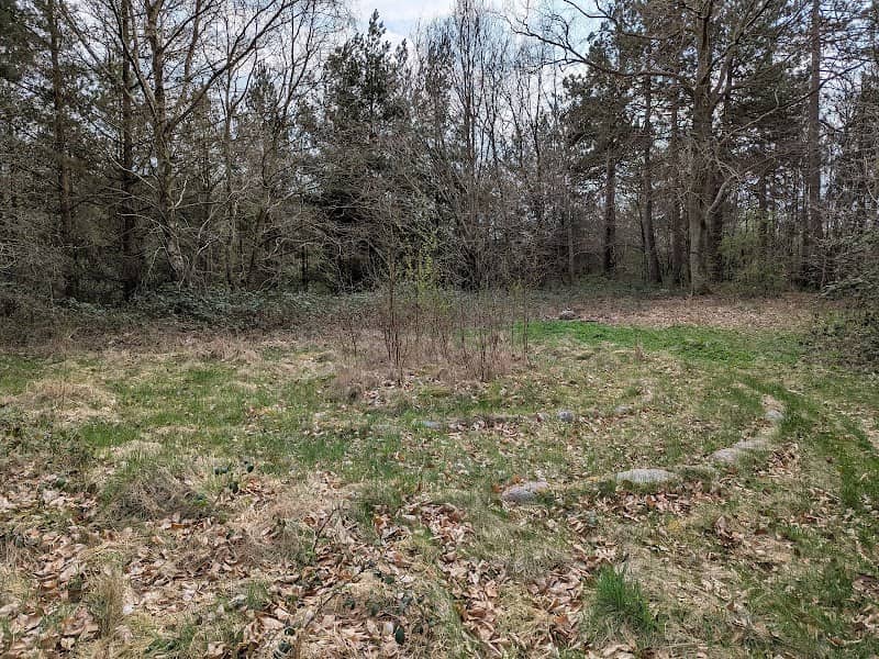 Gravsted jernalderen - Image 1