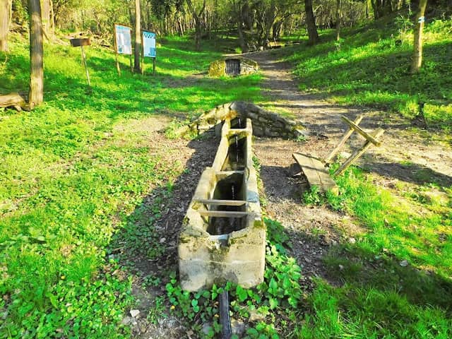 Sár-kút - Image 2