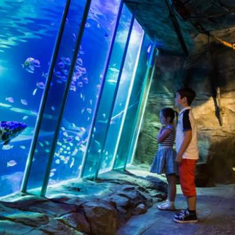 Exploris Aquarium - Image 2
