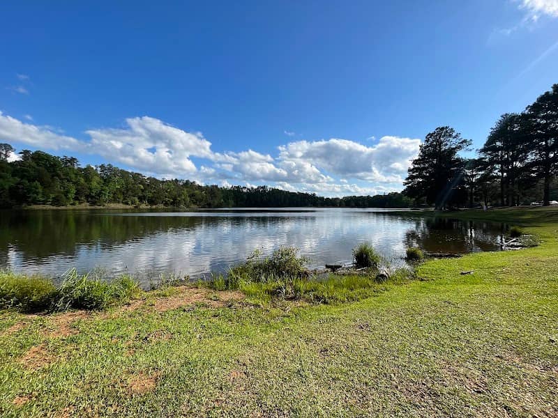 Lake Nicol - Image 1